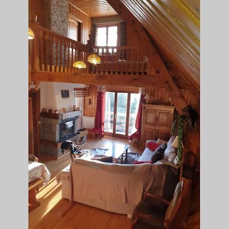 Authentique Chalet Vue Sur Le Lac Et Les Pistes Besse-et-Saint-Anastaise Exterior photo